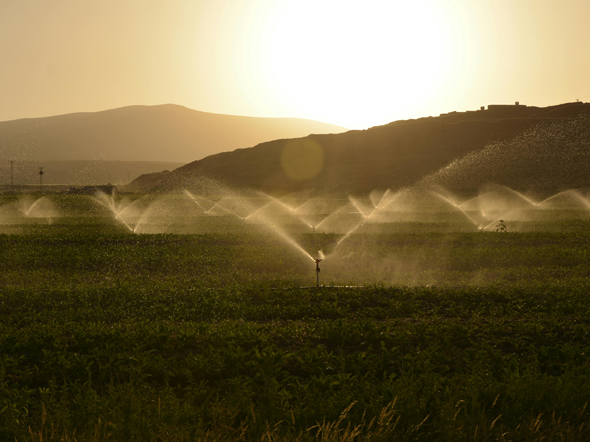 Capteur suivi irrigation - Réduction de la consommation d'eau et augmentation des rendements