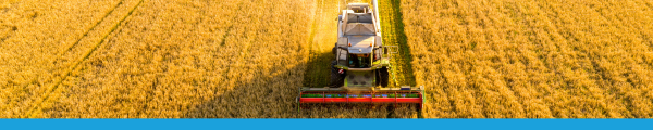 3 3jauge de niveau four data solutions iot _cuma agricole solution